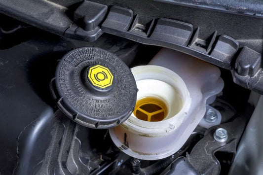 English Version: Synthetic Oil - TERZO